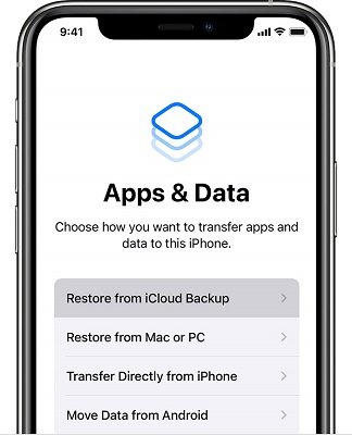 select restore from iCloud backup